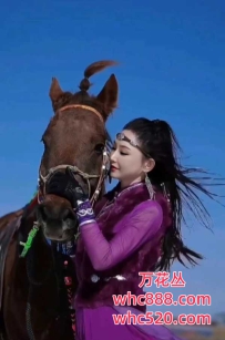 佛山性感蒙古族御姐-阿茹娜