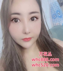 龙华-小青
